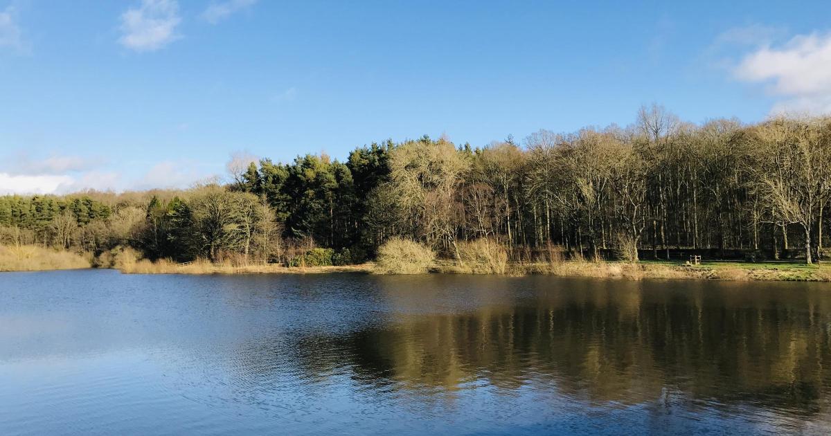 Yorkshire Water urged customers about heatwave water usage