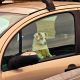 What to do if a dog is in a hot car and can you smash window