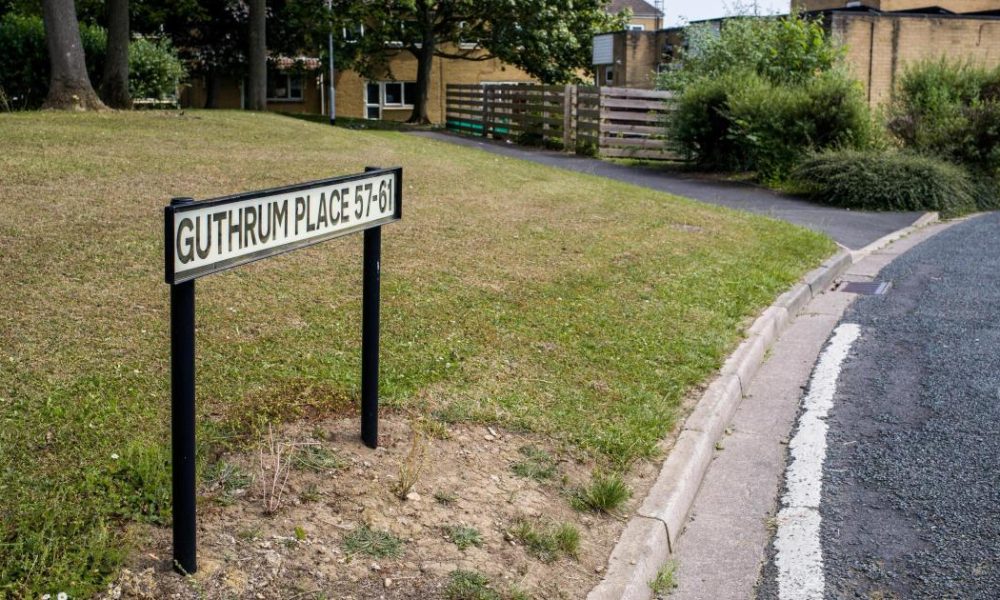 Woman tells of ‘horrific’ moment dog attacked boy in Aycliffe