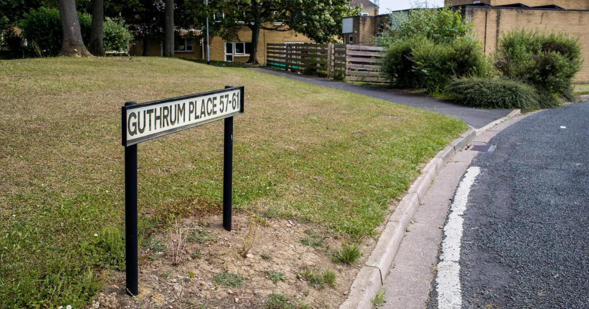 Woman tells of ‘horrific’ moment dog attacked boy in Aycliffe