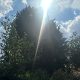 Harwood high hedge complaint sparks concerns in gardens