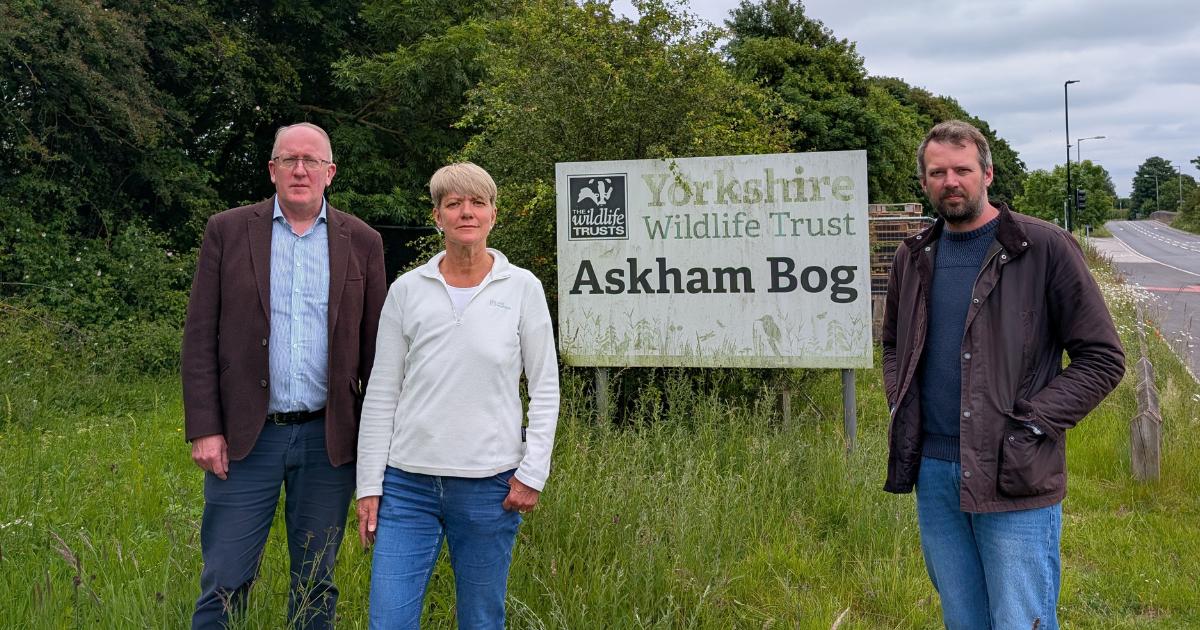 York green belt review sparks council planning row