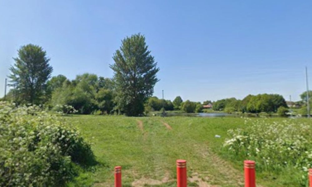 Dog put down after woman and pet attacked in Hemlington