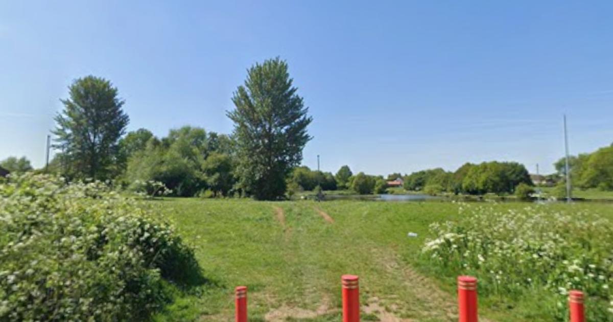 Dog put down after woman and pet attacked in Hemlington