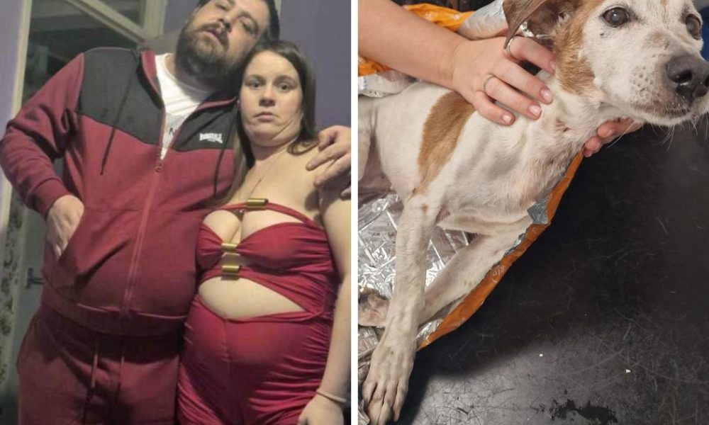 Pictures of dog thrown into canal in binbag in Brierfield