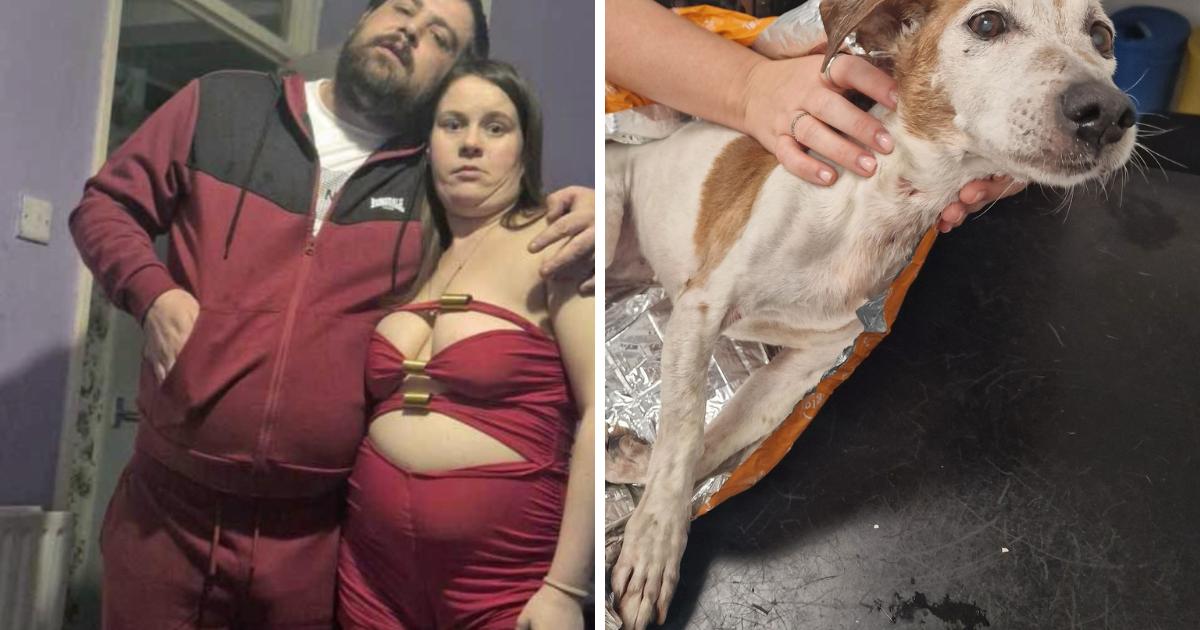 Pictures of dog thrown into canal in binbag in Brierfield
