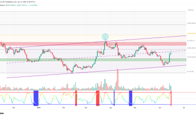 Top 3 Altcoins to Watch in the Third Week of June 2026
