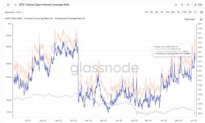 Futures Leverage Ratio