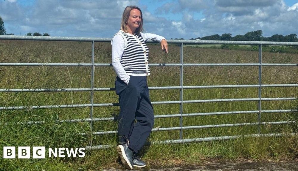 Villagers take fight against Lidl store plans to Welsh government