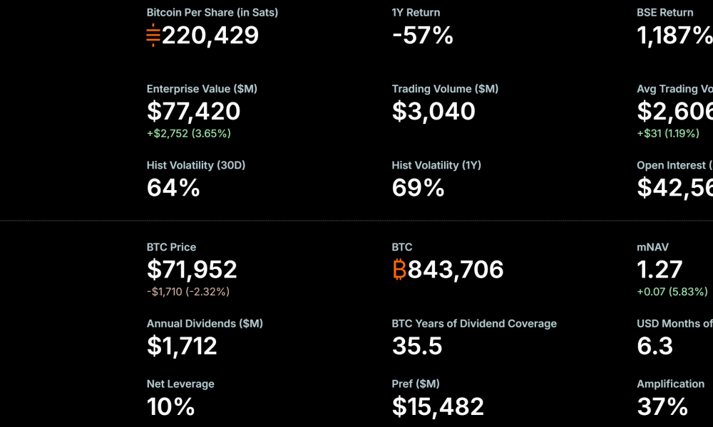 MicroStrategy Bitcoin Holdings.