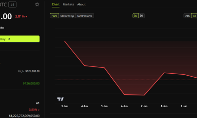 Bitcoin (BTC) Performance