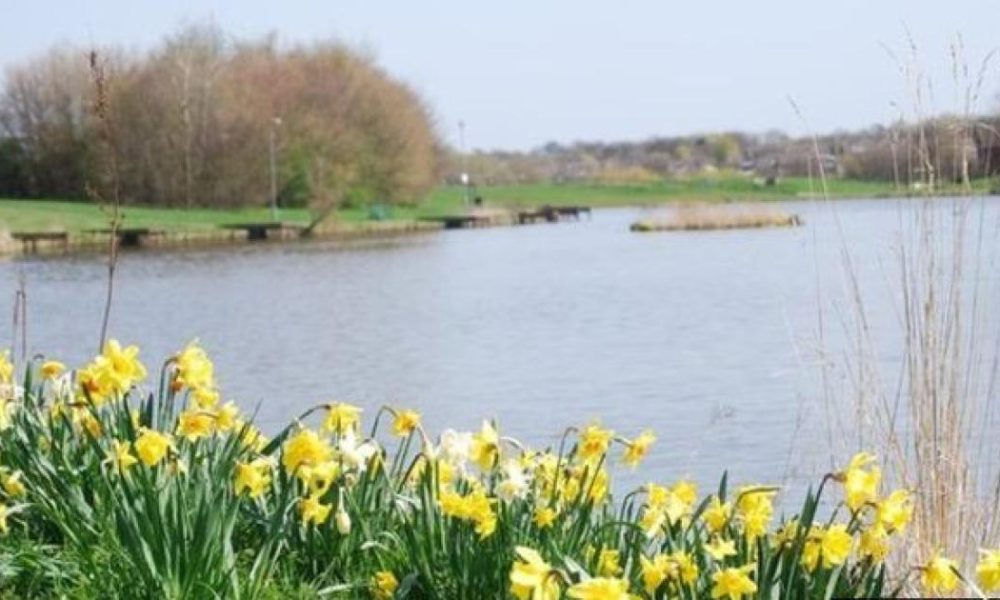 Two arrested after Pitbull-type dog attack in Hemlington
