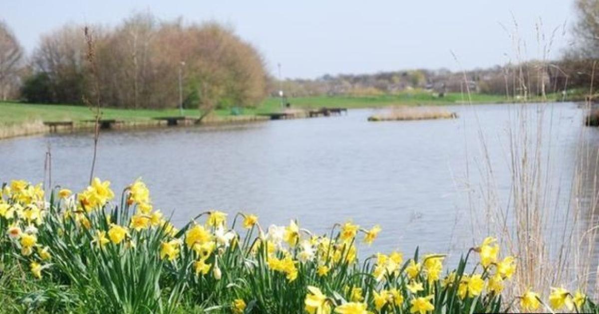 Two arrested after Pitbull-type dog attack in Hemlington