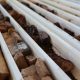 Hancock to chip $20m in St George Mining’s raise