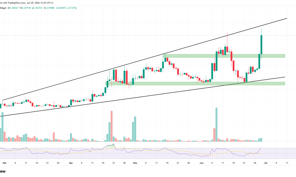 3 Altcoins to Watch in the First Week of July