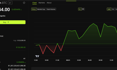 Bitcoin Price Performance
