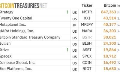 Bitcoin Treasury Companies Are ‘Textbook Bubble Chart’ as MSTR Loses $100