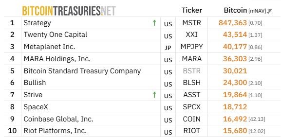 Bitcoin Treasury Companies Are ‘Textbook Bubble Chart’ as MSTR Loses $100
