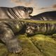 Gallery: Underwater Photographer of the Year 2026