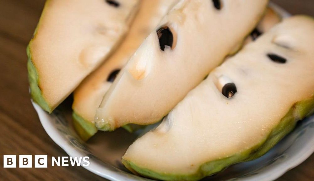 China's import of custard apples sparks fears in Taiwan