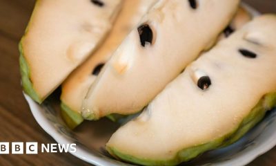 China's import of custard apples sparks fears in Taiwan