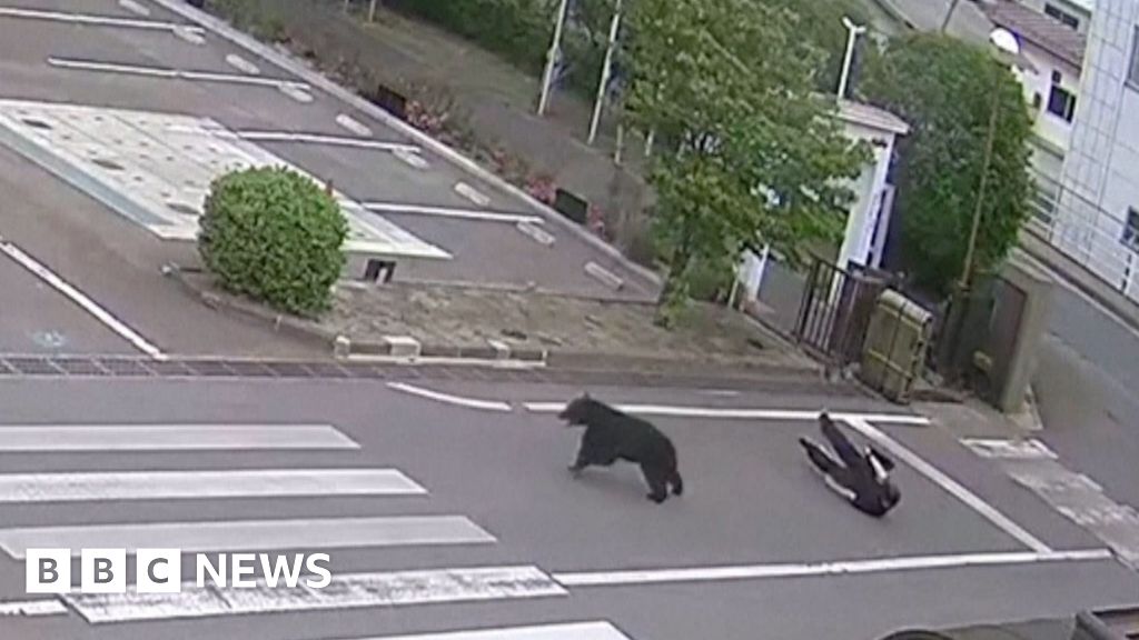 Man attacked by bear at steel works in Japan
