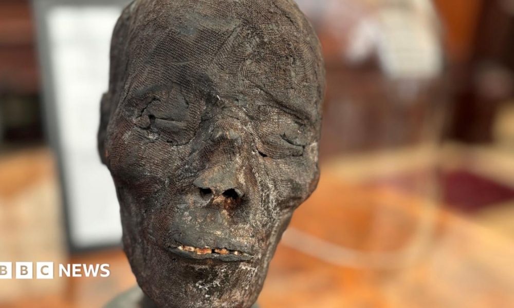An Egyptian mummy head at the forefront of a blurred background. The skin looks rough, dry and black.  Its eyes are closed.  You can see a few yellow teeth through the gap between its lips.