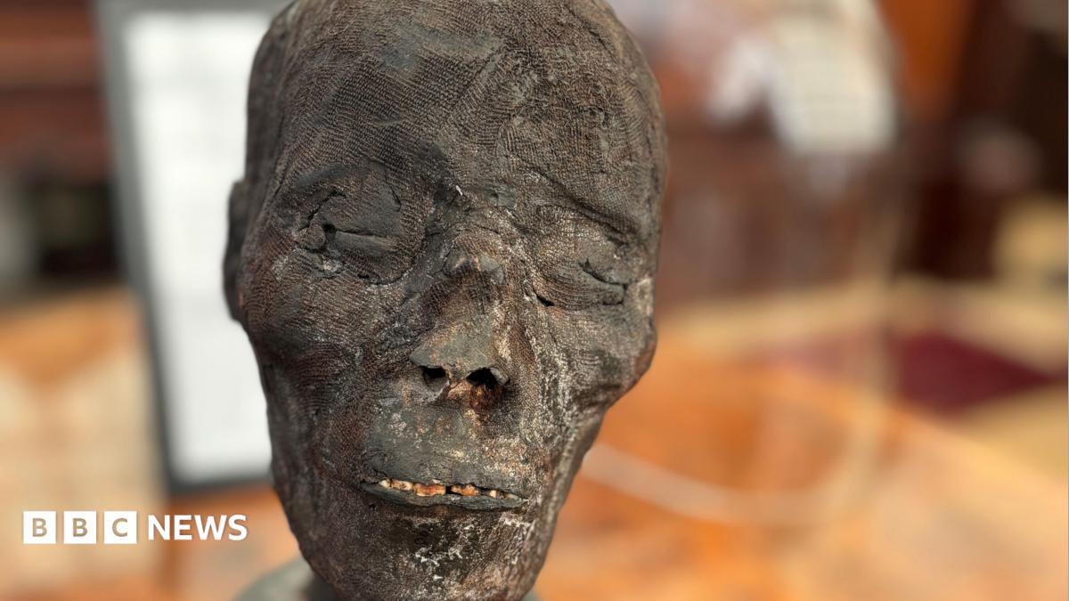 An Egyptian mummy head at the forefront of a blurred background. The skin looks rough, dry and black.  Its eyes are closed.  You can see a few yellow teeth through the gap between its lips.
