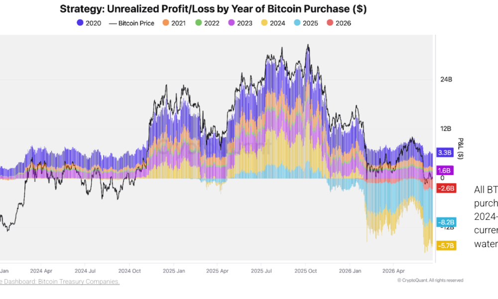 MicroStrategy Unrealized Profit/Loss.