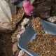 UK Gardeners Told To Place Household Item On Their Lawns
