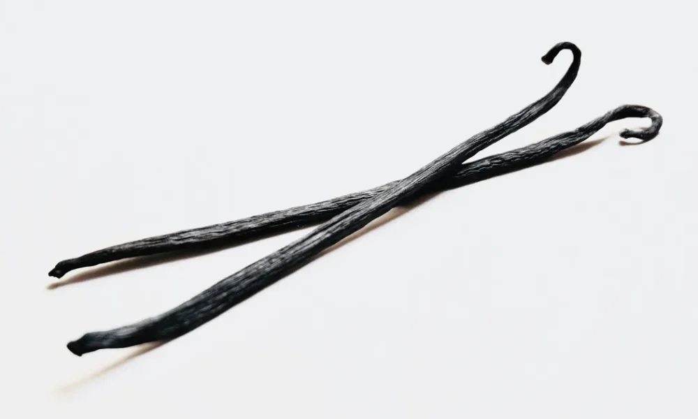 Here's What Vanilla Is Really Made From