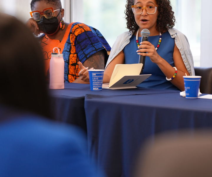 The author speaking at a New York City Council convening for youth mental health, discussing technology and service provision.