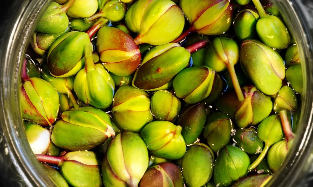Here's What Capers Are Really Made From