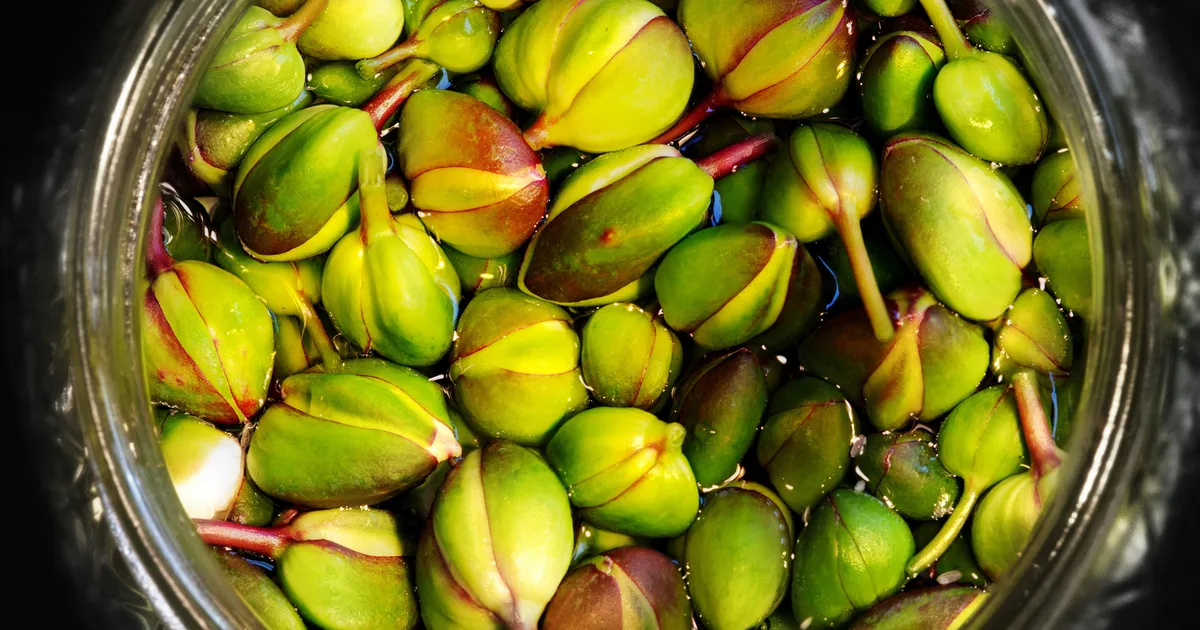 Here's What Capers Are Really Made From