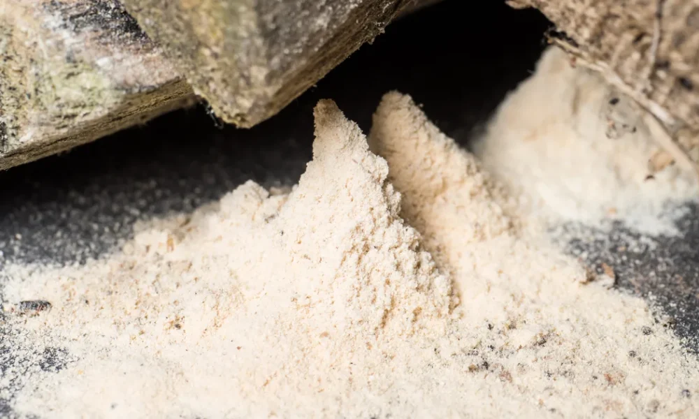 Gardeners Warned To Watch Out For A Cream 'Dust'