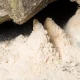 Gardeners Warned To Watch Out For A Cream 'Dust'