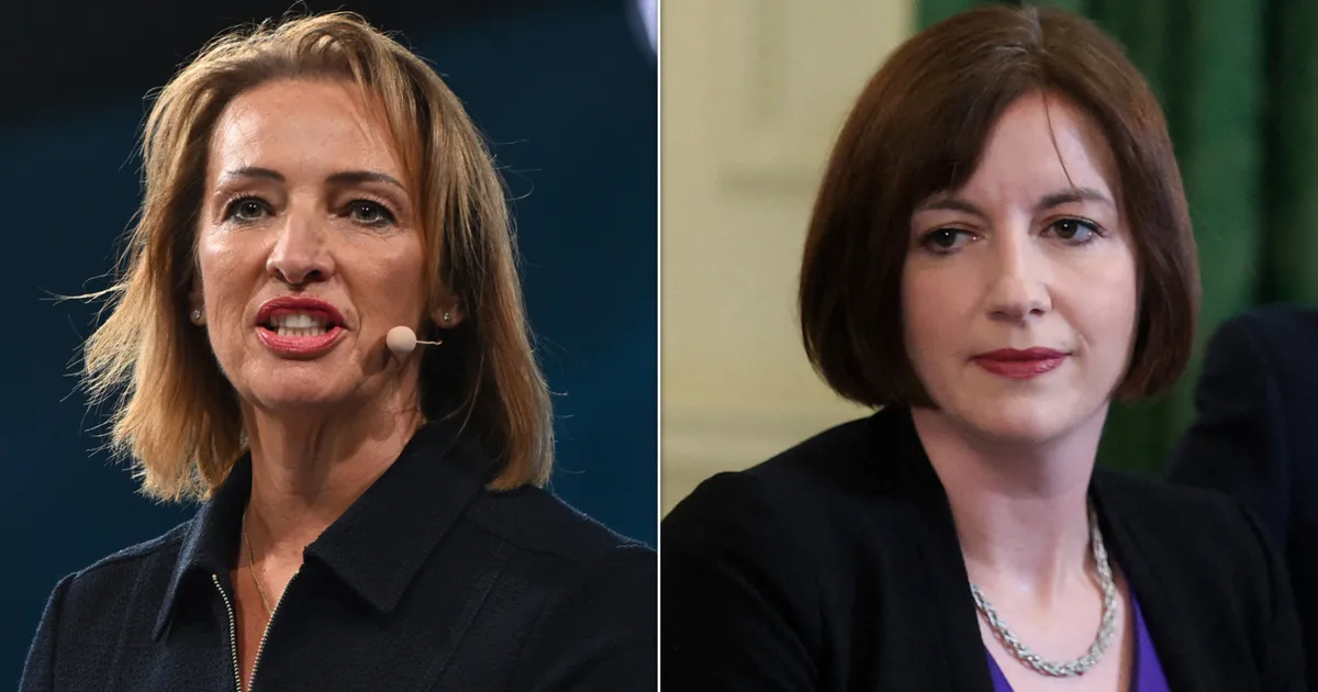 Reform MP Criticized For Women's Safety Remarks
