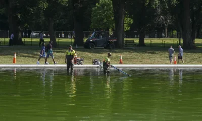 National Park Service employees remove algae from the bottom of the newly painted Lincoln Memorial Reflecting Pool on the National Mall in Washington, D.C., on June 16, 2026.