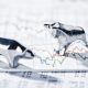 Major cryptocurrencies under pressure as oil jumps 3%