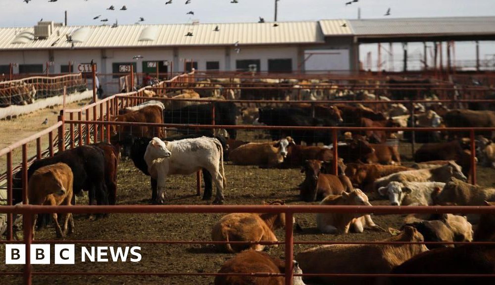 Canada bans Texas over US outbreak