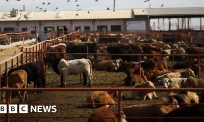 Canada bans Texas over US outbreak
