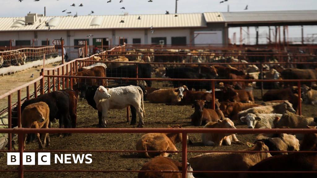 Canada bans Texas over US outbreak