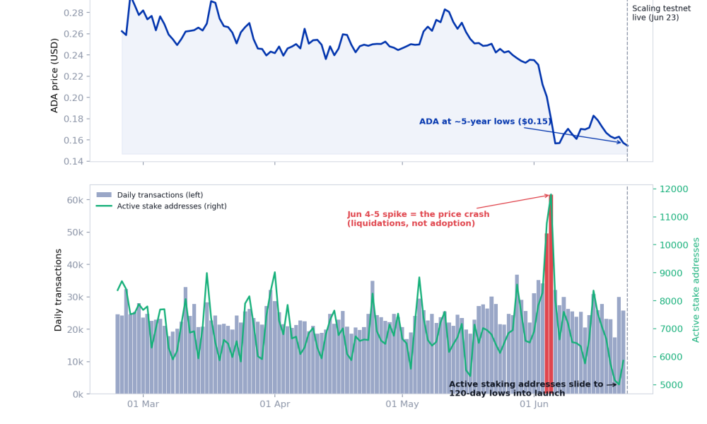 Cardano Activity Versus ADA Price