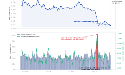 Cardano Activity Versus ADA Price