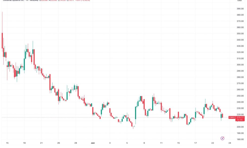 AI chipmaker Cerebras down 11% after first public earnings report