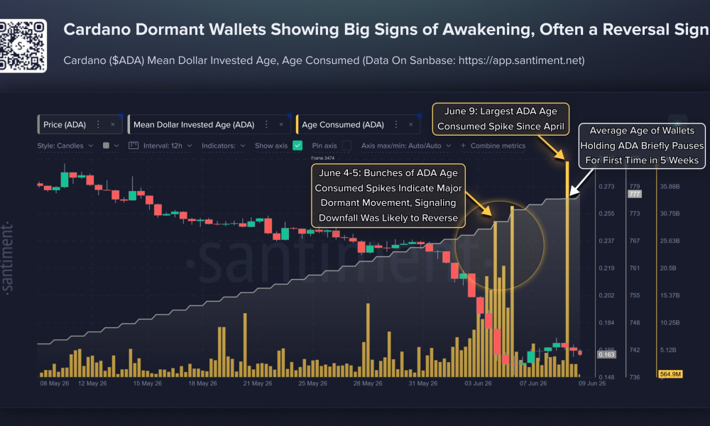 Large Dormant Cardano Wallets Move as Hoskinson Reappears: Reversal Signal?