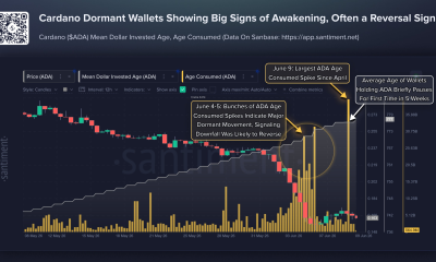Large Dormant Cardano Wallets Move as Hoskinson Reappears: Reversal Signal?