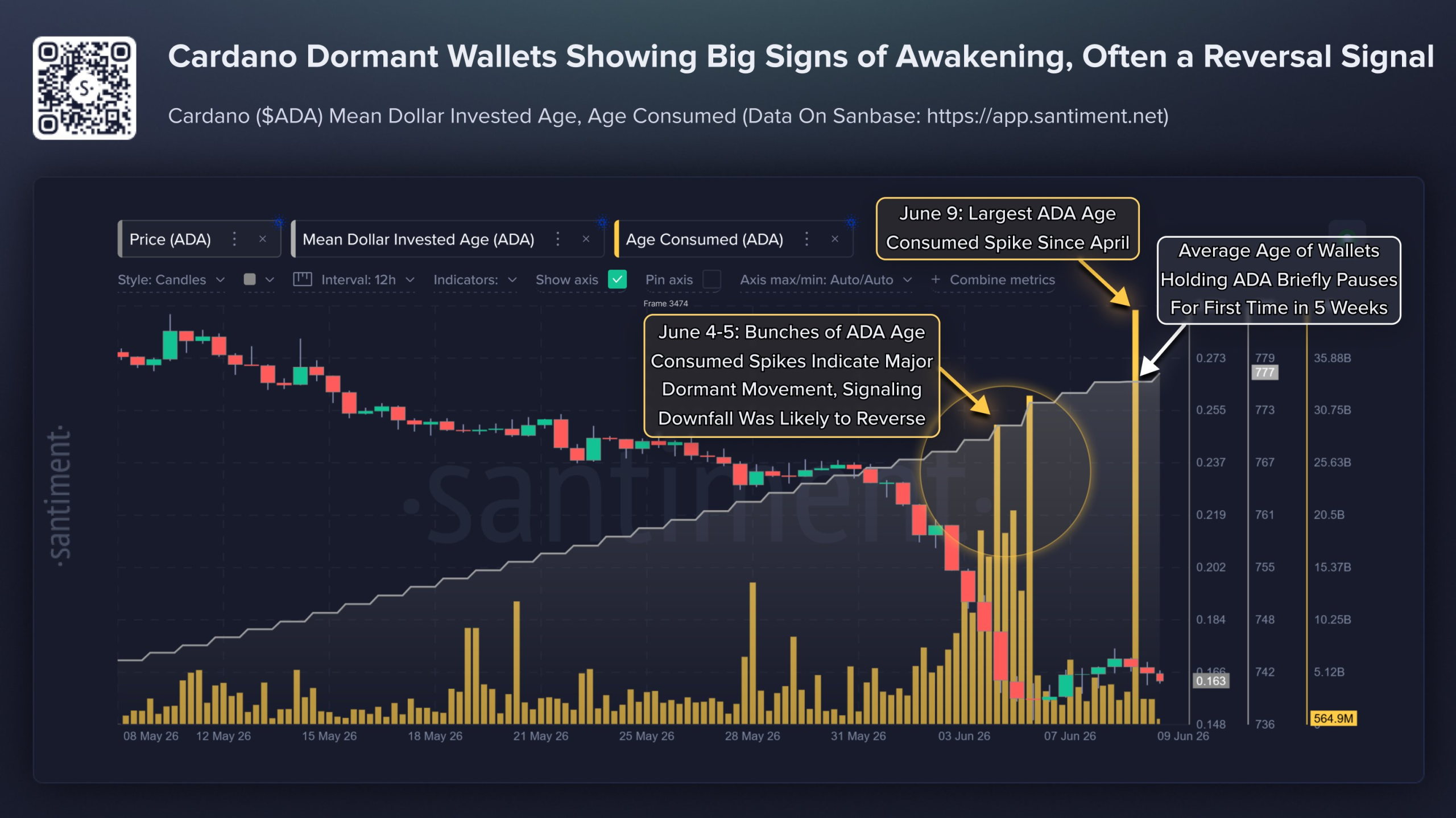 Large Dormant Cardano Wallets Move as Hoskinson Reappears: Reversal Signal?