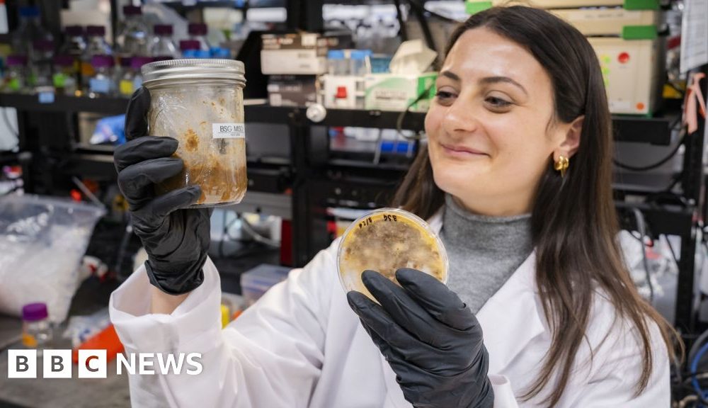 The ancient trick making food waste useful and tasty