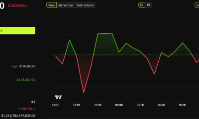 Bitcoin Price Performance